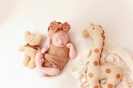 定安宝宝虾的做法 定安宝宝虾的做法