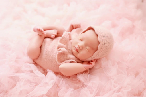 定安8个月宝宝辅食